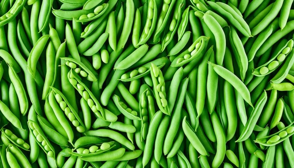 klasifikasi green beans